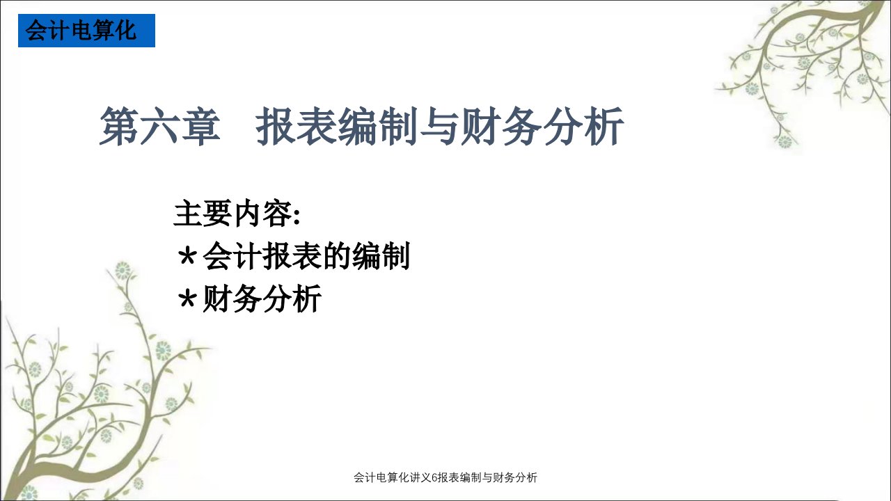 会计电算化讲义6报表编制与财务分析课件