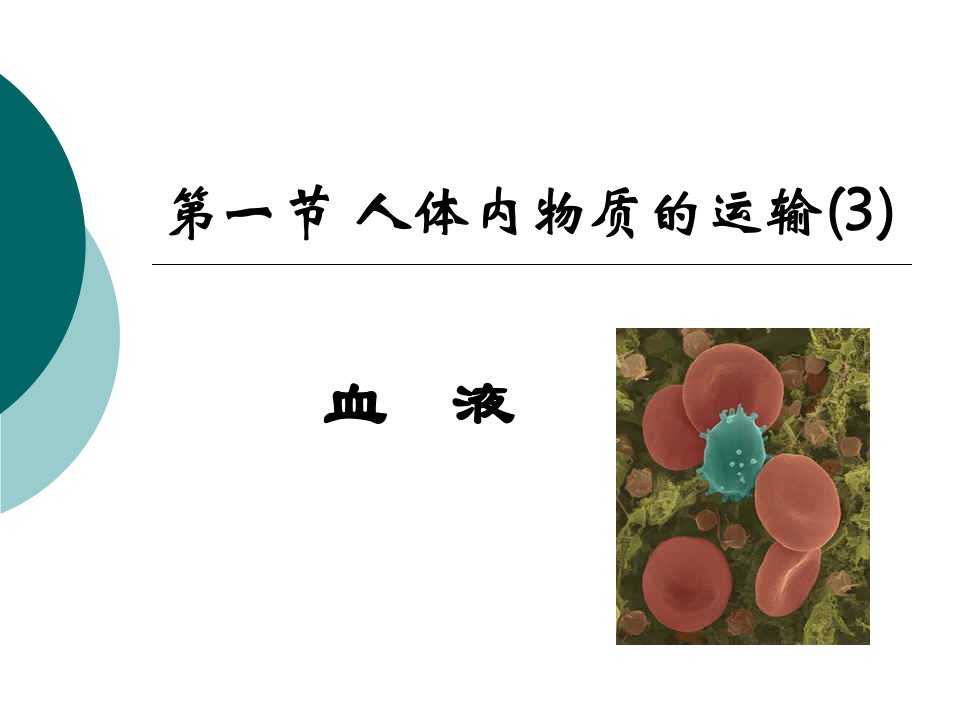 人体内物质的运输(3)