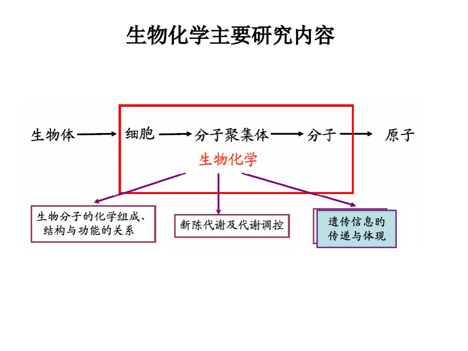 第14章