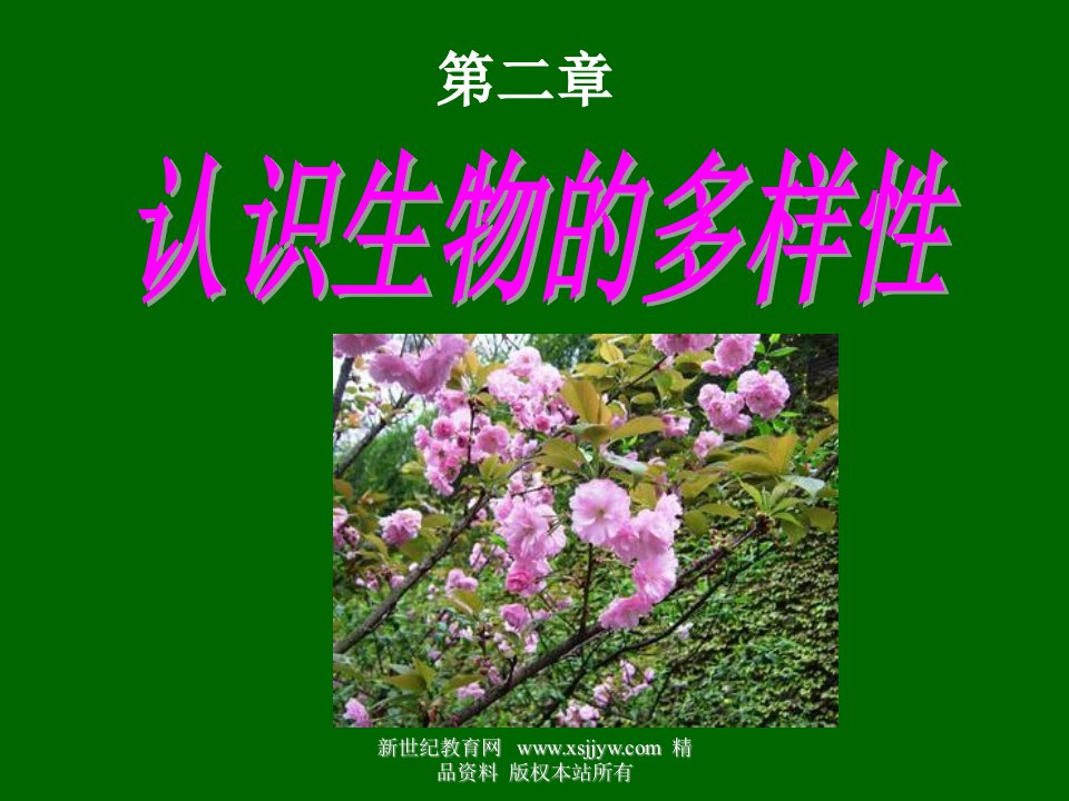 六单元认识生物多样性课件