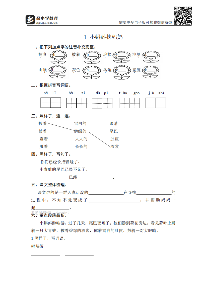 【小学精品】《小蝌蚪找妈妈》课后同步练习题