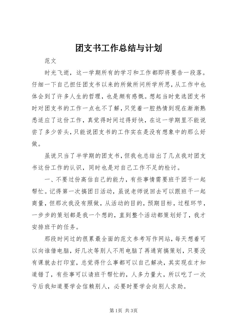 6团支书工作总结与计划