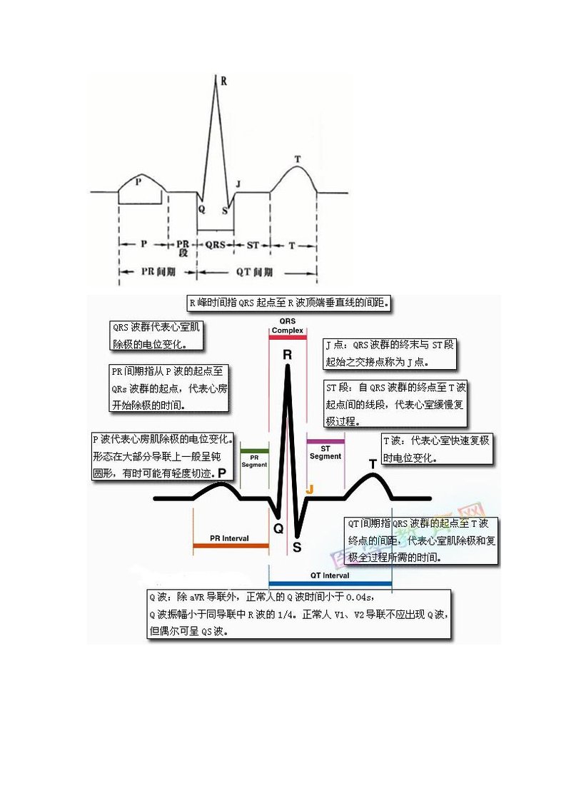 心电图基础知识