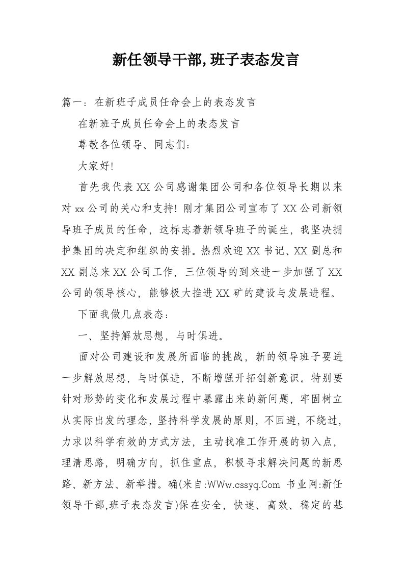 新任领导干部班子表态发言