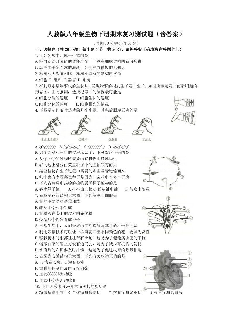 人教版八年级生物下册期末复习测试题（含答案）