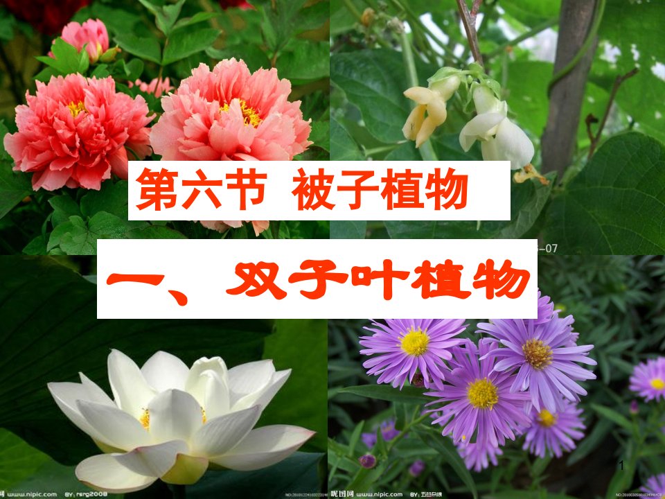 第六节