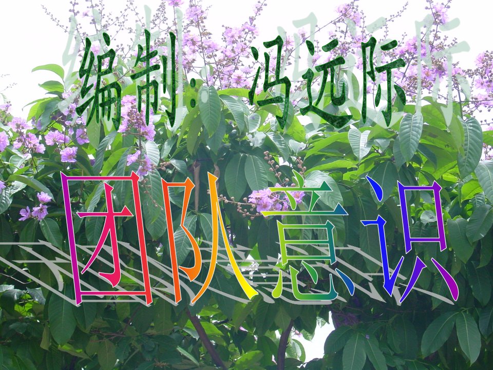 《团队意识》PPT课件