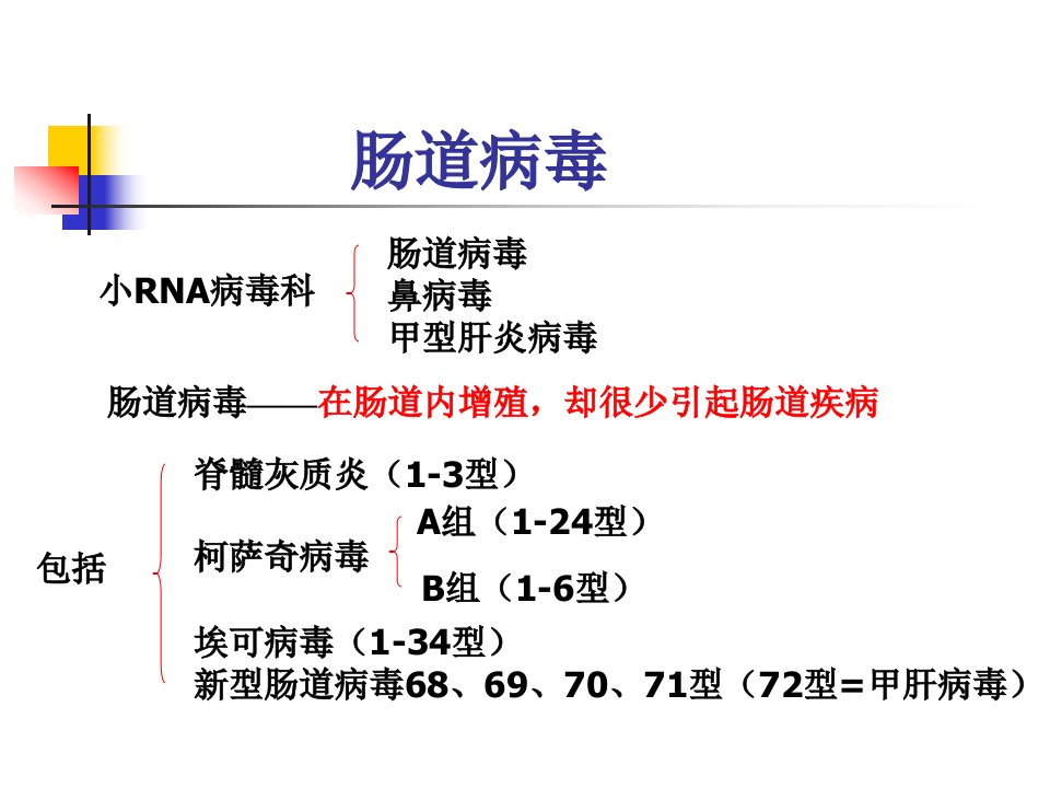 基础医学概论复习课件1脊髓灰质炎病毒