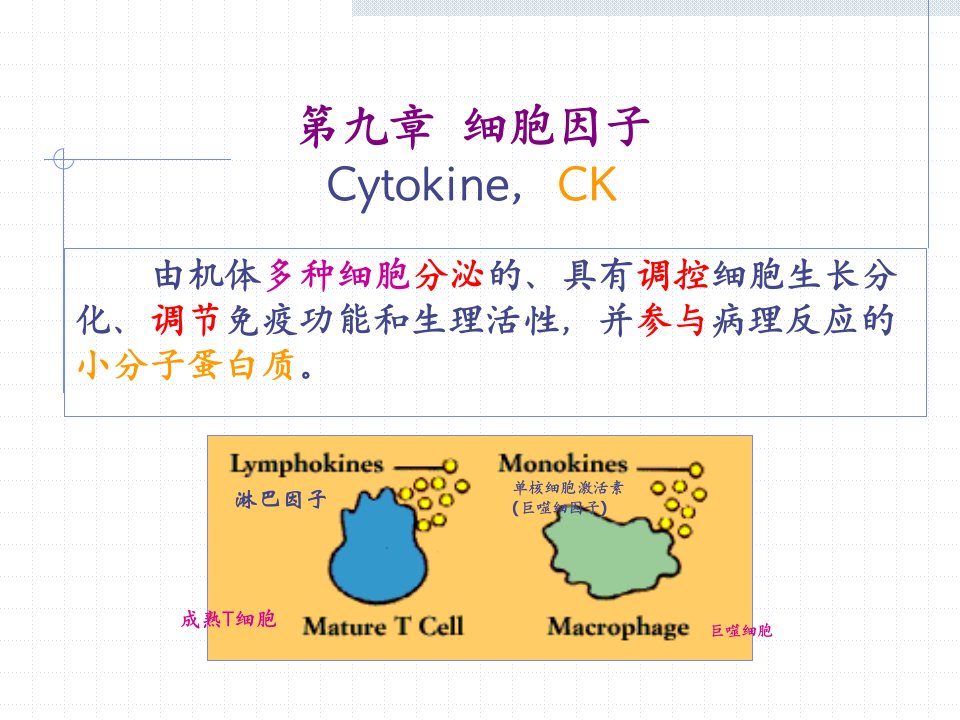 第九章细胞因子