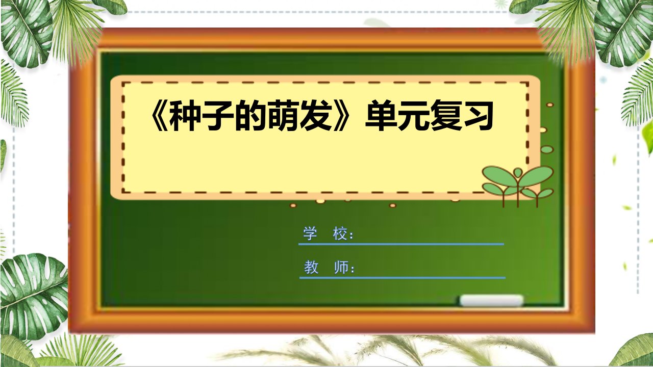 教科版科学五年级上册期末复习课件《种子的萌发》