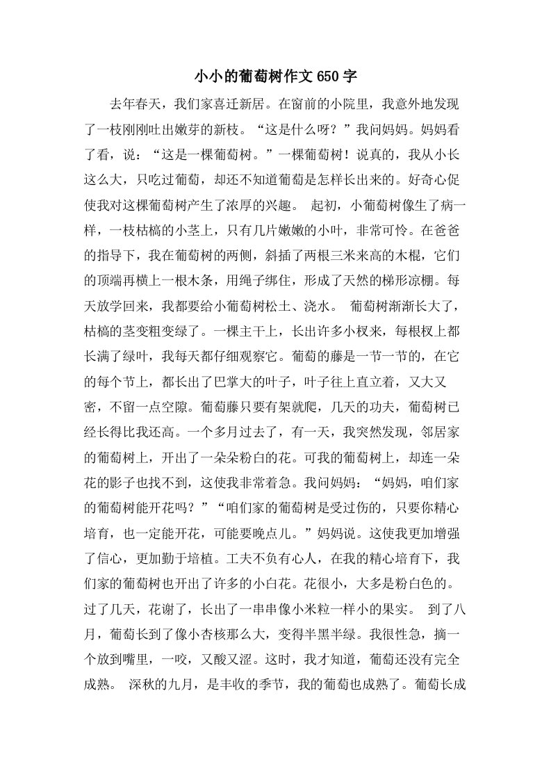 小小的葡萄树作文650字