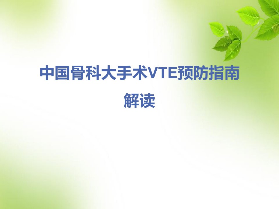 中国骨科大手术VTE预防指南解读