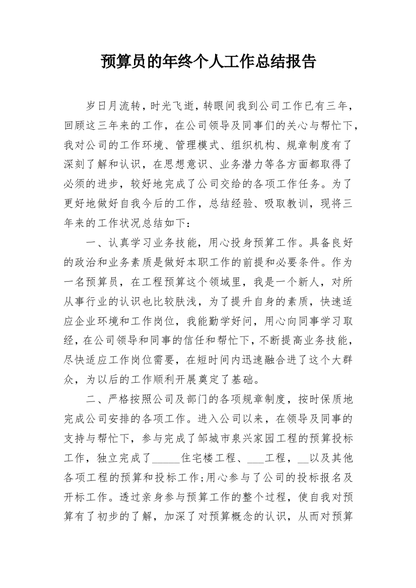 预算员的年终个人工作总结报告