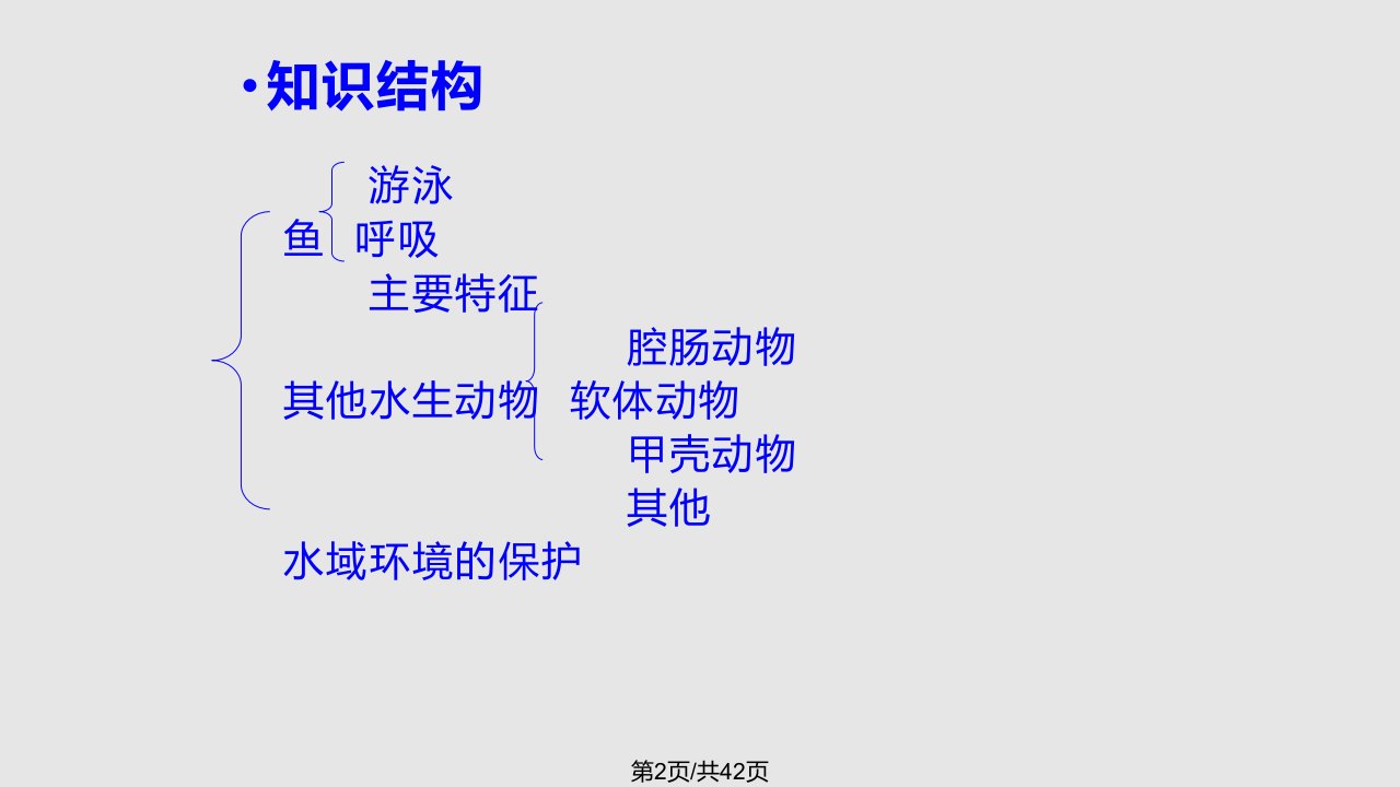 水中生活的动物2