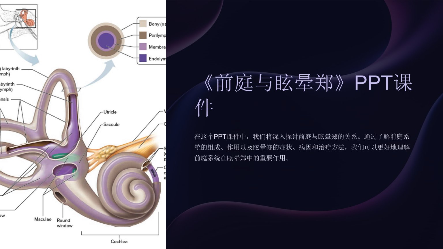 《前庭与眩晕郑》课件