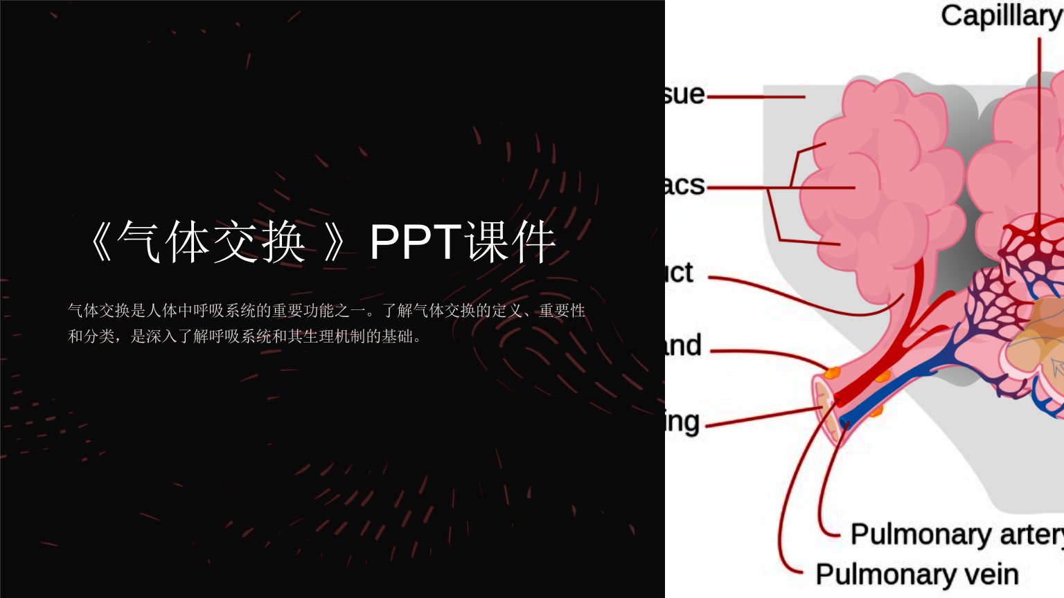 《气体交换