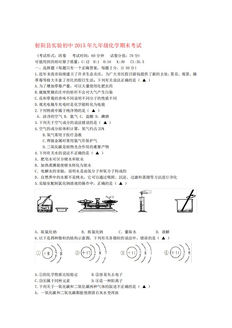 江苏省盐城市射阳县实验初中九年级化学期末考试试题新人教版