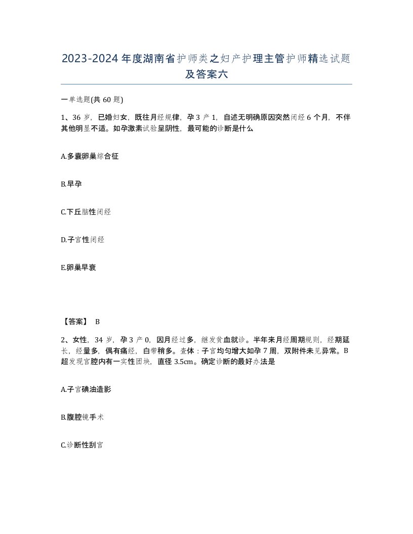 2023-2024年度湖南省护师类之妇产护理主管护师试题及答案六