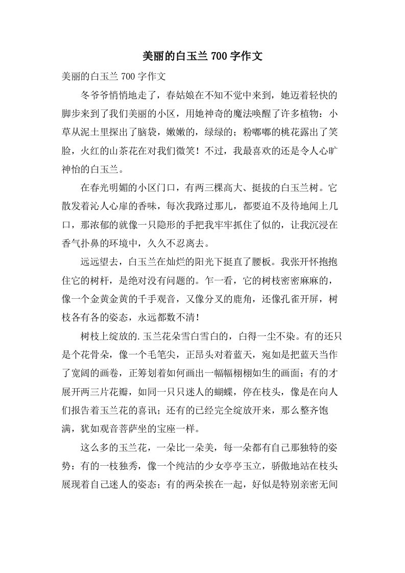 美丽的白玉兰700字作文