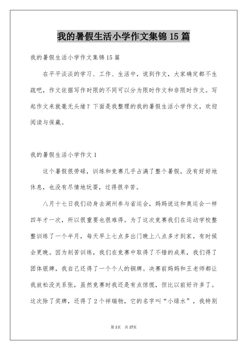 我的暑假生活小学作文集锦15篇