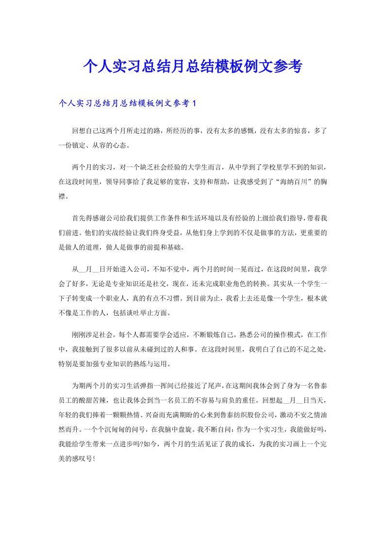 个人实习总结月总结模板例文参考