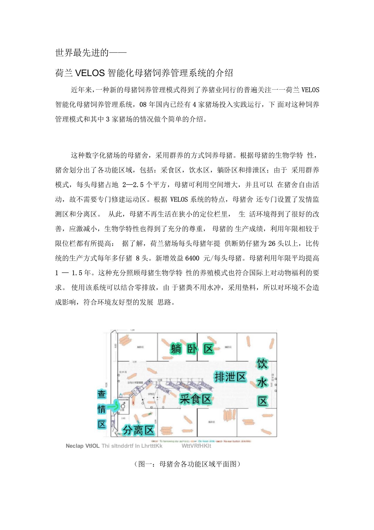 荷兰VELOS智能化母猪饲养管理系统的介绍