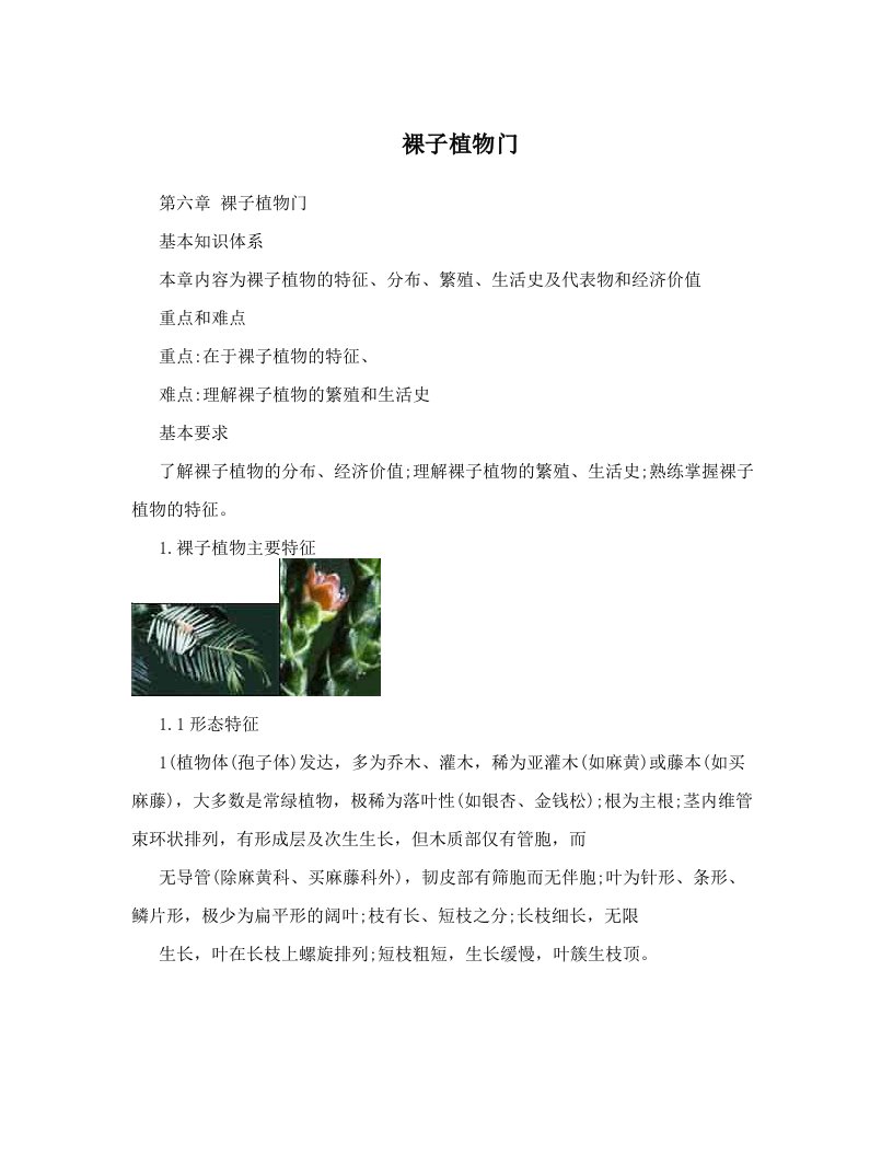 wwxAAA裸子植物门