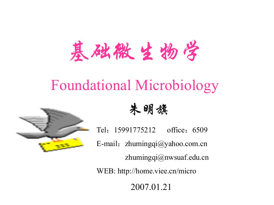 基础微生物学FoundationalMicobiology