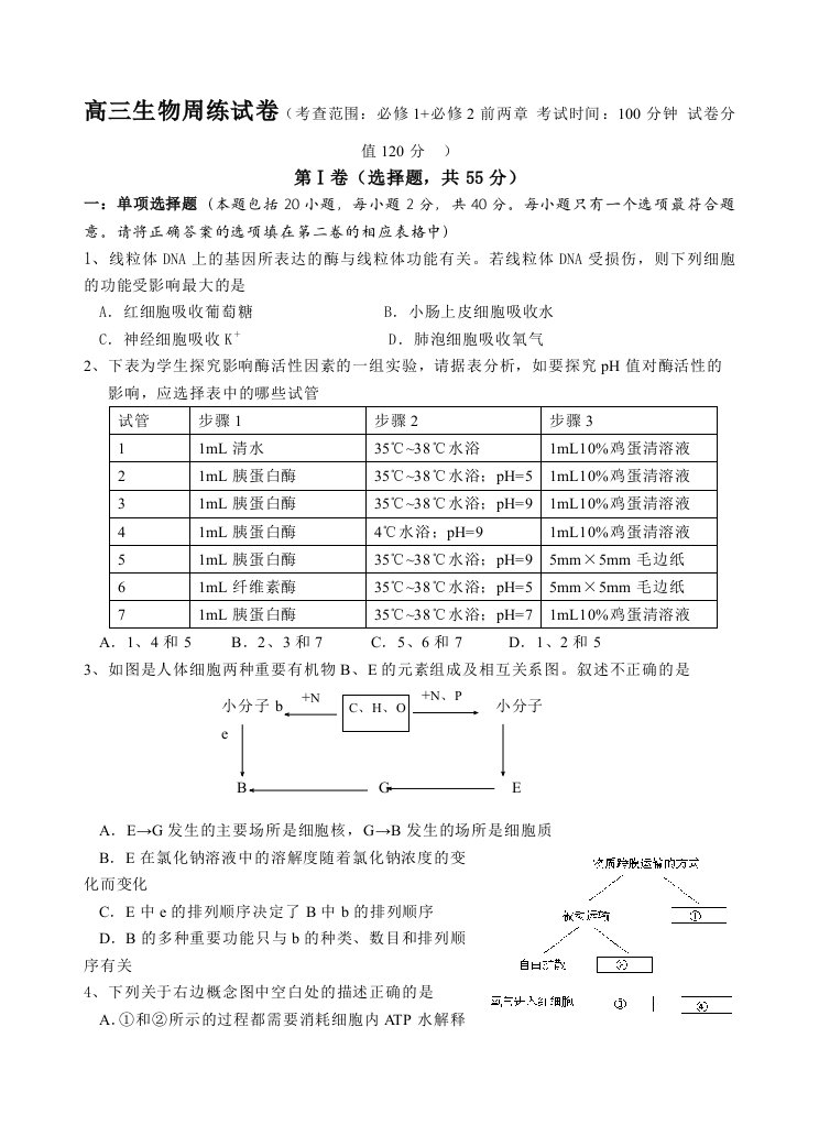 高三生物周练试卷(考查范围必修1必修2前两章