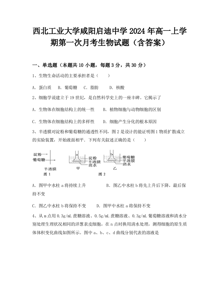 西北工业大学咸阳启迪中学2024年高一上学期第一次月考生物试题（含答案）