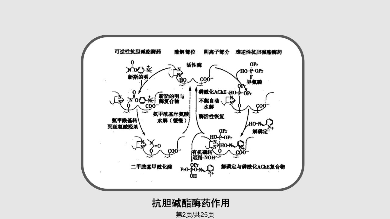 抗胆碱酯酶药