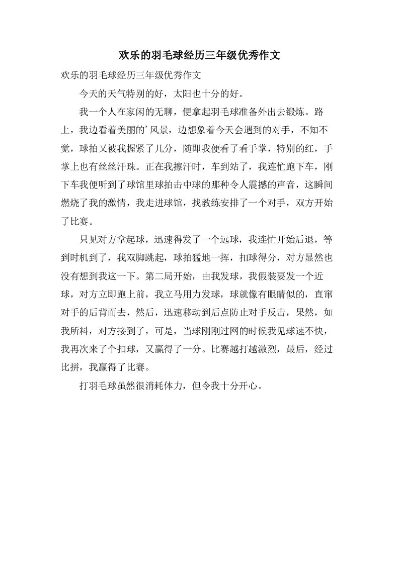 欢乐的羽毛球经历三年级作文