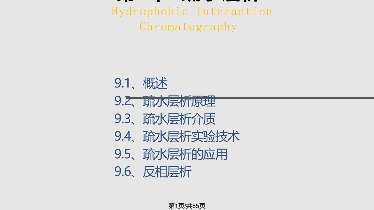 疏水层析PPT课件