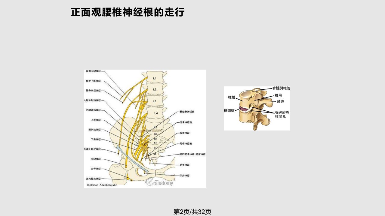 腰椎间盘查体