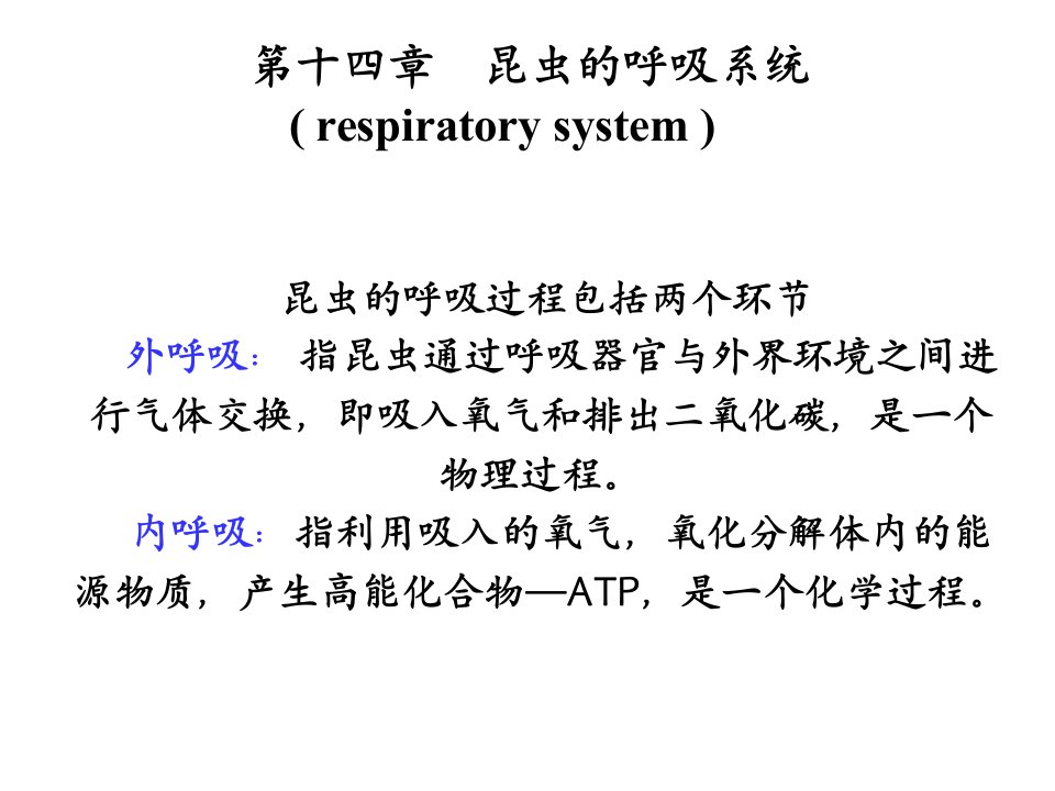 昆虫的呼吸系统1PPT