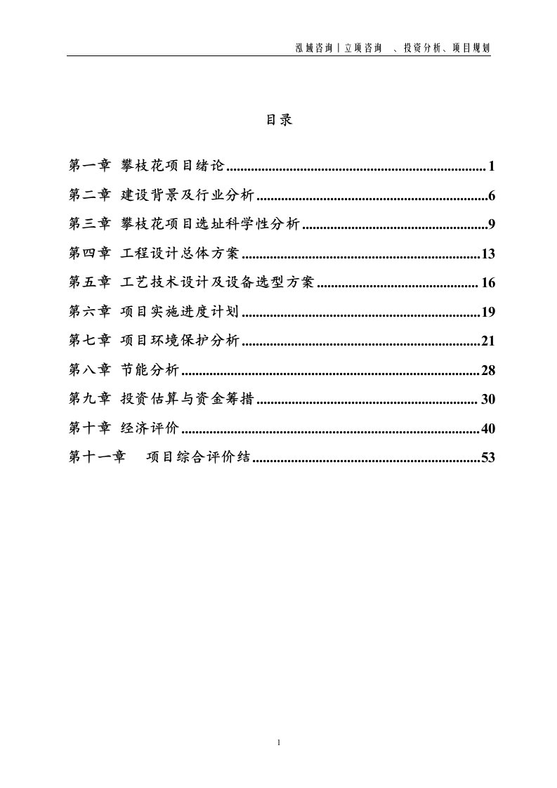 攀枝花投资项目立项申请报告