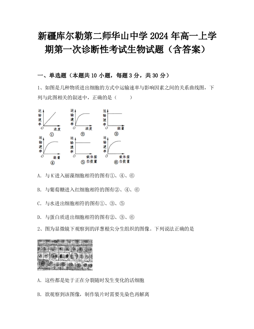 新疆库尔勒第二师华山中学2024年高一上学期第一次诊断性考试生物试题（含答案）