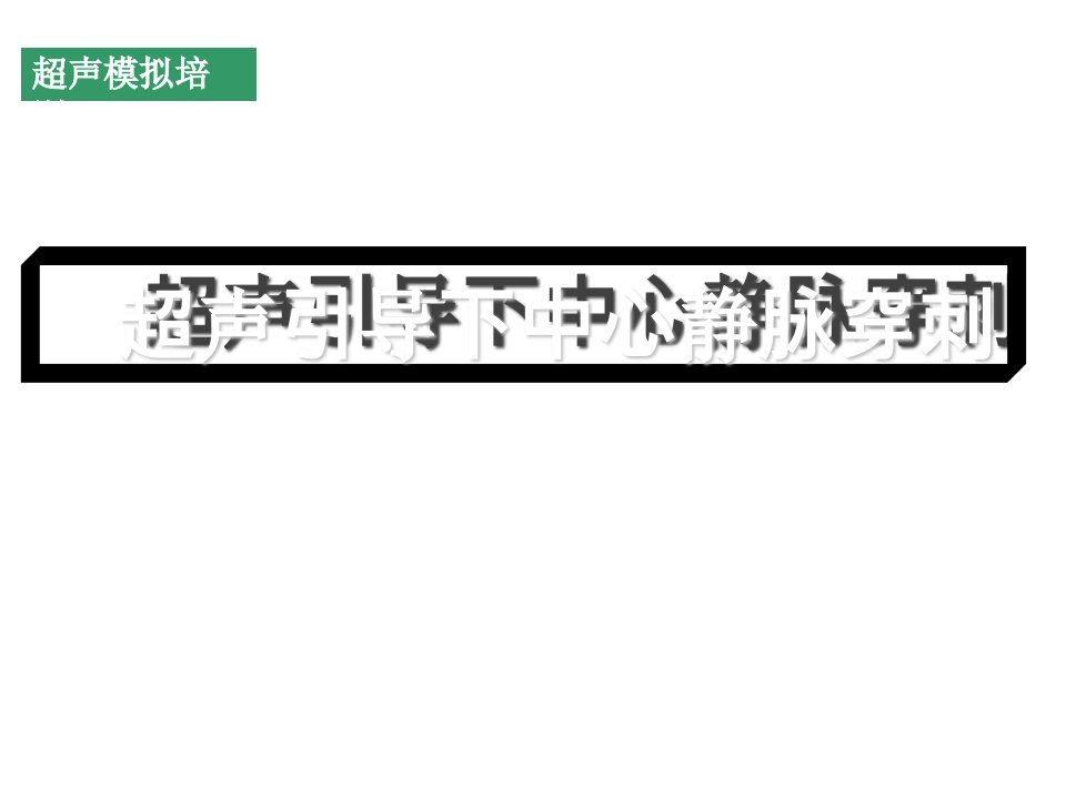 超声引导下中心静脉穿刺(罗贞)