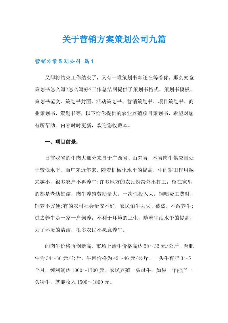 关于营销方案策划公司九篇