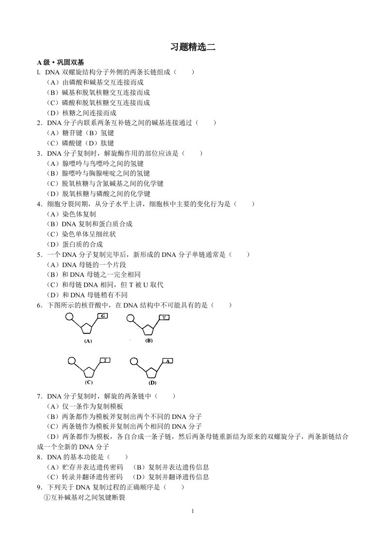 DNA双螺旋结构经典习题二