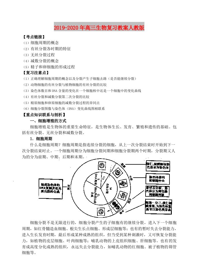 2019-2020年高三生物复习教案人教版