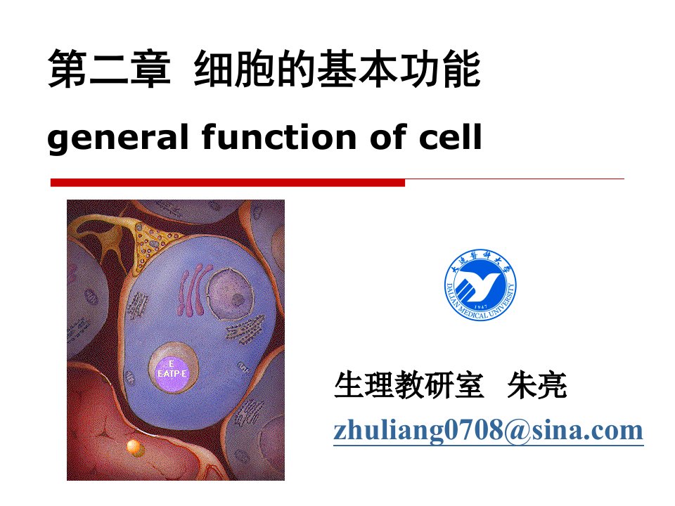 第二章细胞2008-本科