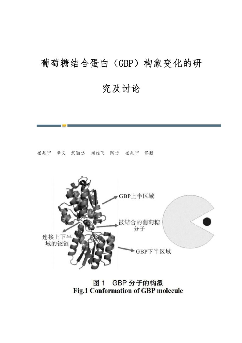 葡萄糖结合蛋白（GBP）构象变化的研究及讨论