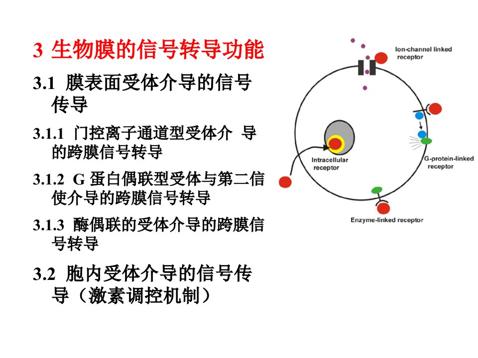 信号转导ppt课件