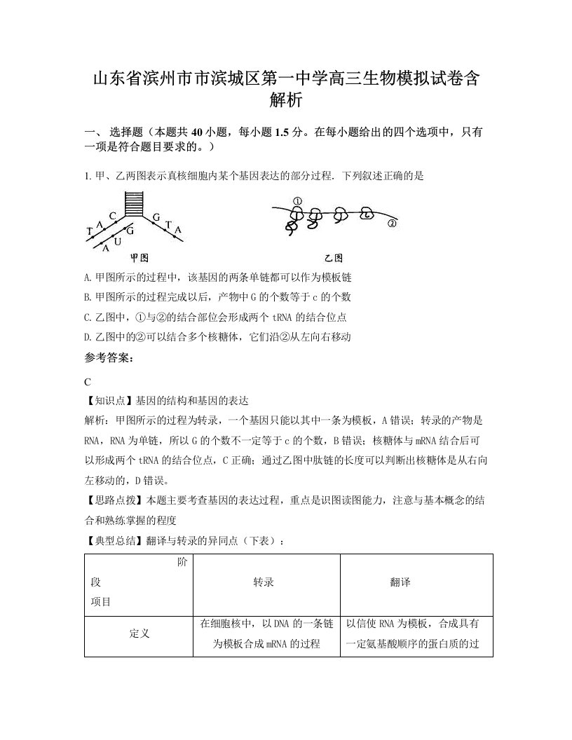 山东省滨州市市滨城区第一中学高三生物模拟试卷含解析