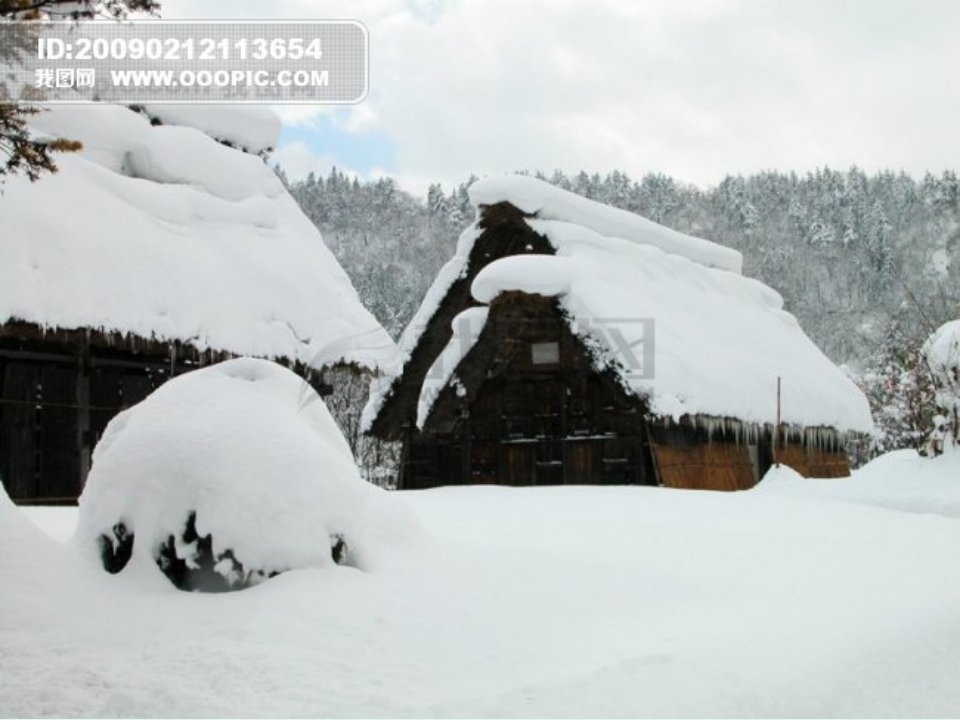 新人教版雪地里的小画家文档资料