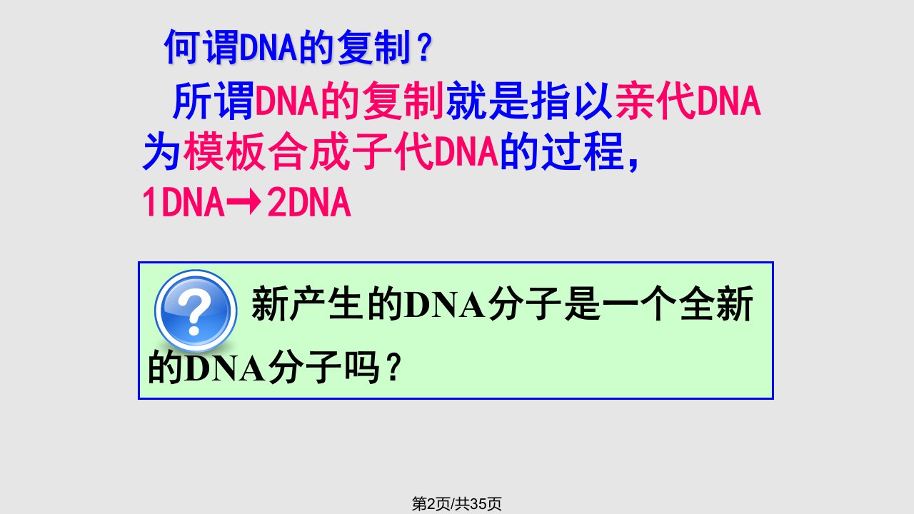 DNA复制学习教程