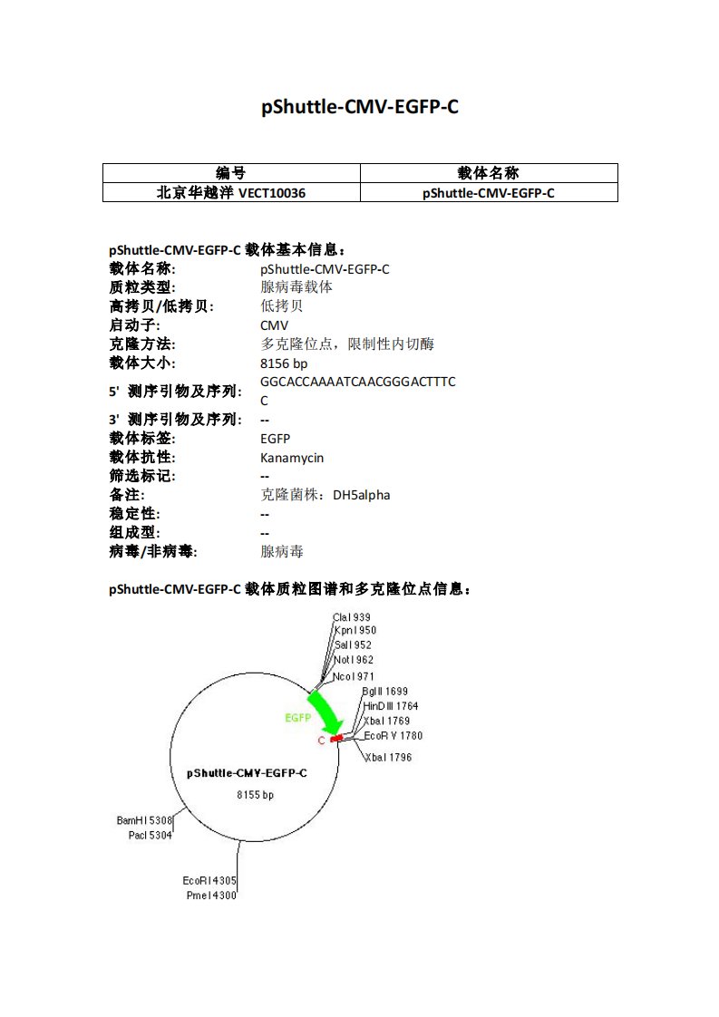 pShuttle-CMV-EGFP-C腺病毒载体说明(图)