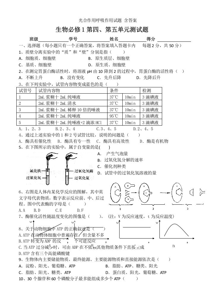 光合作用呼吸作用试题-含答案