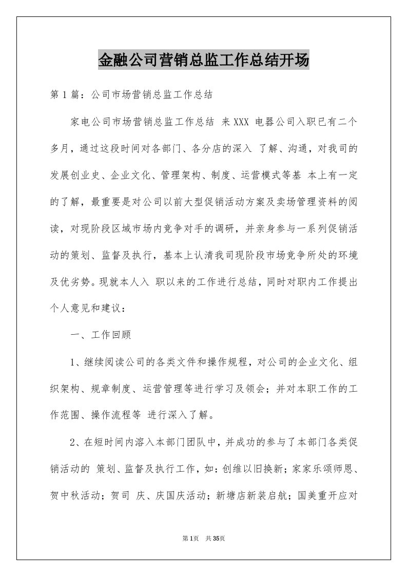 金融公司营销总监工作总结开场